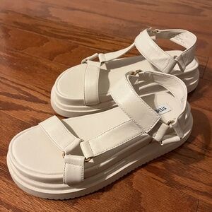 Steve Madden Matina Bone Leather